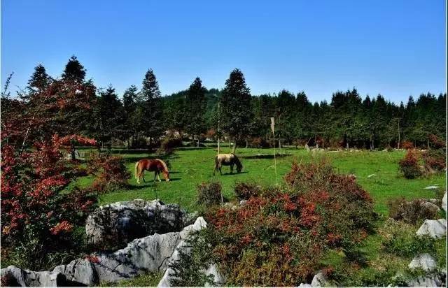 中国秋色最美的五个地方,邂逅国内各地绝美秋色