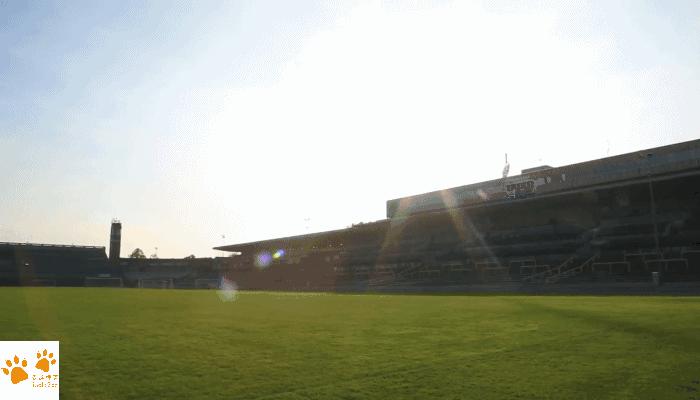 布拉格广场最有名的建筑,布拉格体育场