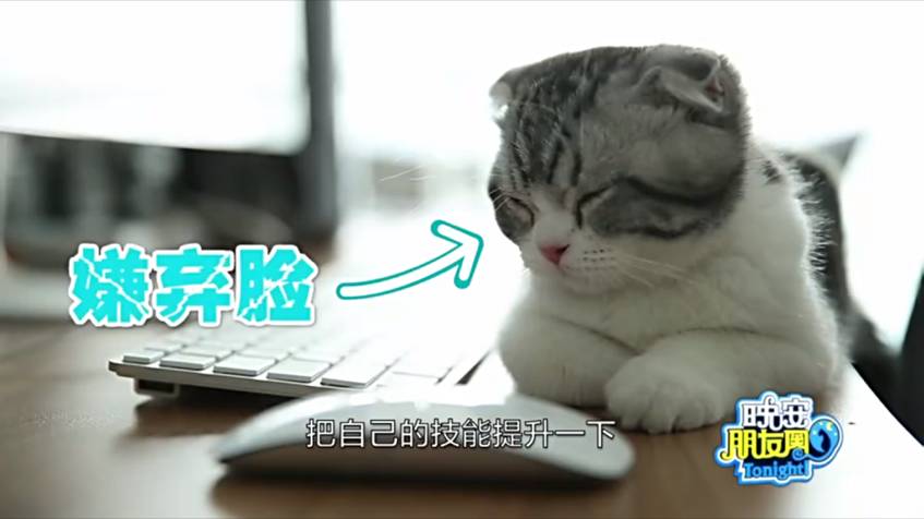 “工作量大到自虐”的全国首档双直播脱口秀，《晚安朋友圈》你看了吗？