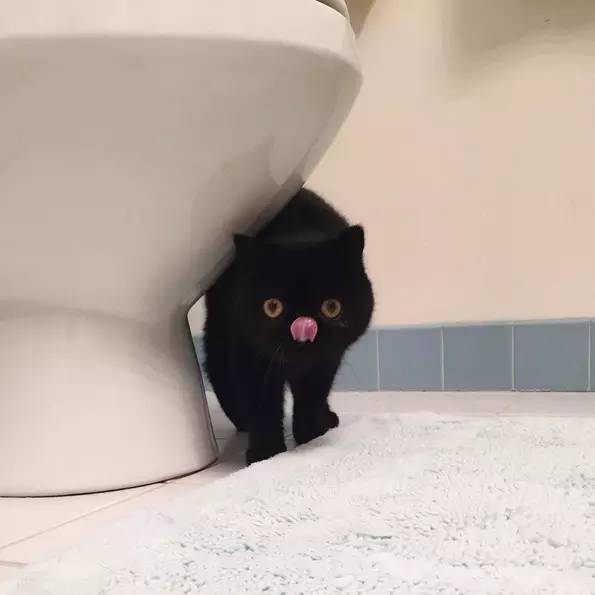 榛戝柕杩囩▼閲嶈杩樻槸缁撴灉閲嶈,榛戝柕浠ュ悗杩橀渶涓嶉渶瑕侀伩瀚屼簡