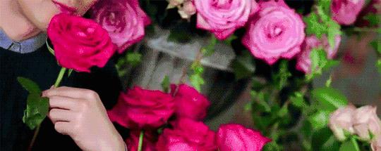 去迪拜最好的攻略,去迪拜阿布扎比旅游攻略