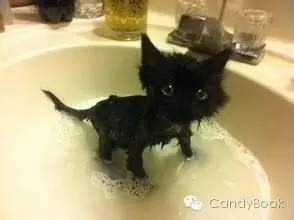 榛戝柕杩囩▼閲嶈杩樻槸缁撴灉閲嶈,榛戝柕浠ュ悗杩橀渶涓嶉渶瑕侀伩瀚屼簡