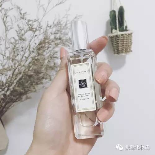 干皮最好用的化妆品菲洛嘉,护肤好物菲洛嘉