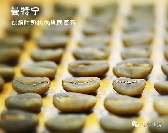 曼特宁和摩卡咖啡区别,鲜咖啡和曼特宁区别