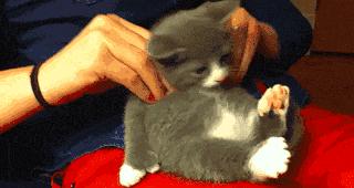 姑娘休要淘气了，小心老师找你谈话