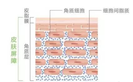 我要护肤实力派，“膜”力谁来做主？