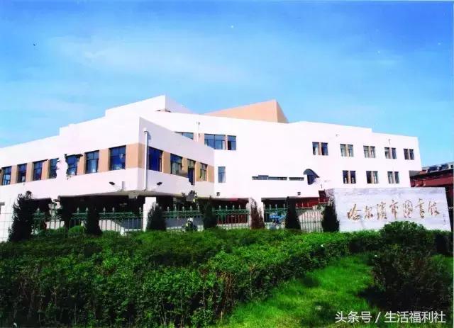 什么能够代表哈尔滨,哈尔滨代表人