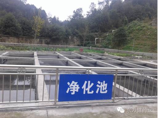 养猪无公害处理,养猪新模式零疫病