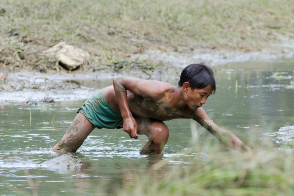 摸鱼摸出的大财富,年产值上亿