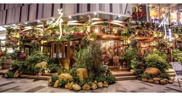 温莎公爵为什么不当国王,温莎公爵长什么样