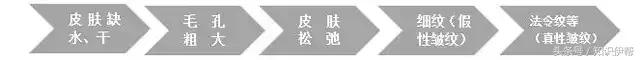胶原蛋白是什么东西提炼出来的,胶原蛋白是什么