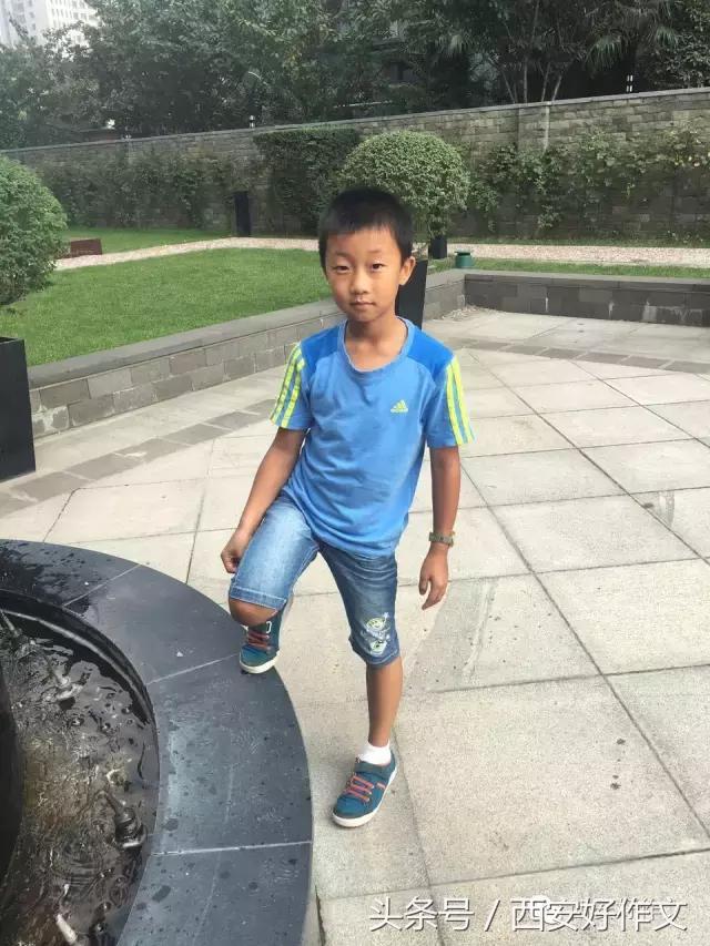 我是游泳小健将作文,描写游泳健将的作文