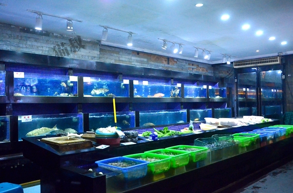 渔夫码头吃什么海鲜,渔夫码头吃海鲜视频