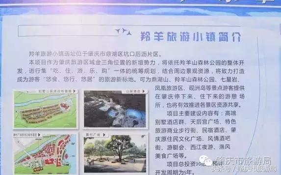 肇庆最新重磅消息,广东肇庆新消息