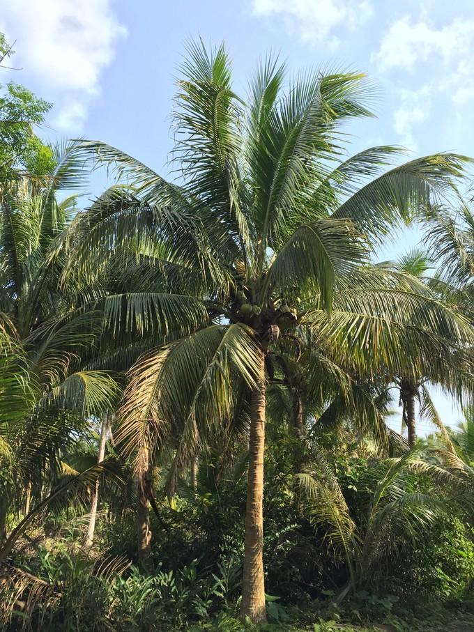 我的第一次出行视频,我的第一次不间断骑行100公里