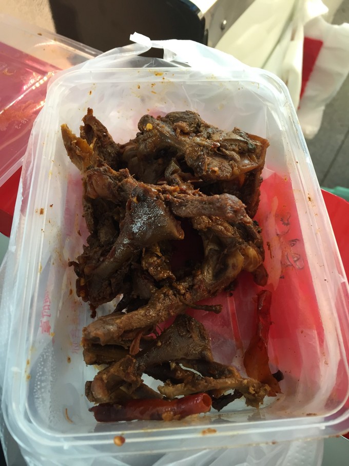 我的第一次出行视频,我的第一次不间断骑行100公里