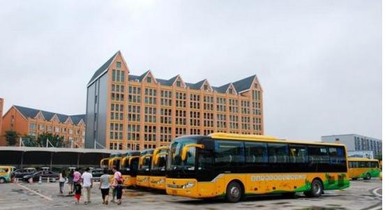 上海野生动物园攻略自驾车,上海野生动物园攻略午餐