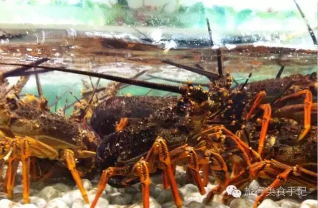 小嫚儿视频,青岛市北区小嫚儿