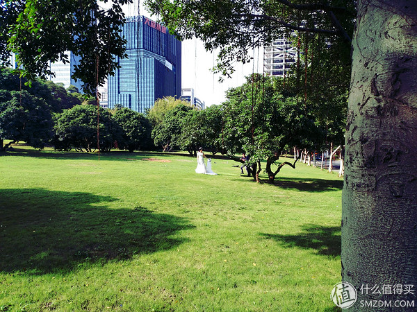 小米5s怎么样,小米s55对比小米555