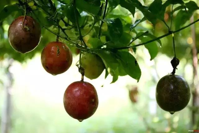 港南区哪里好玩,港南市哪里好玩
