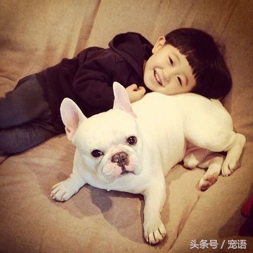 宠物去世了要怎么和孩子说,宠物死亡对孩子的影响