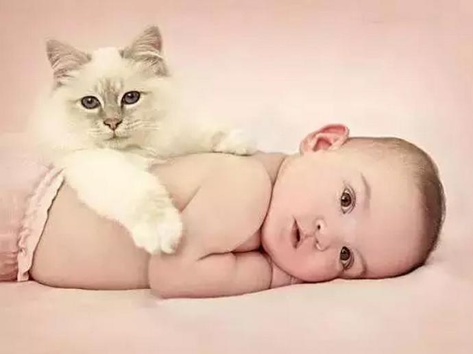 十大怀孕征兆这些现象你有吗,孕前夫妻必知备孕的步骤