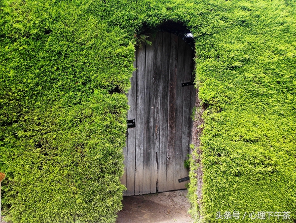 色盲、音盲、阅读障碍、全身瘫痪，然而，这不是他的命运