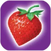 很多东西到了双11依然买不起,双11是淘宝还是京东搞的