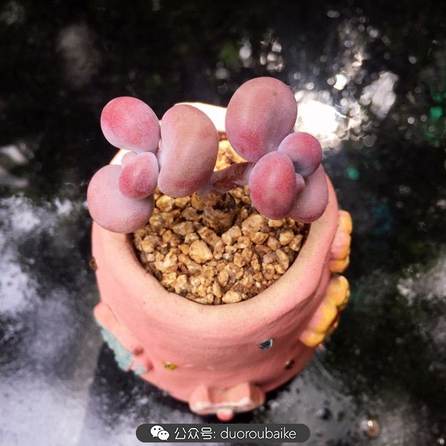 谈谈我对自己的看法,谈谈我对恋爱的看法