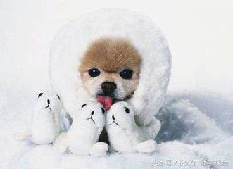 武汉电动车上牌照的标准,武汉国标电动车管理办法