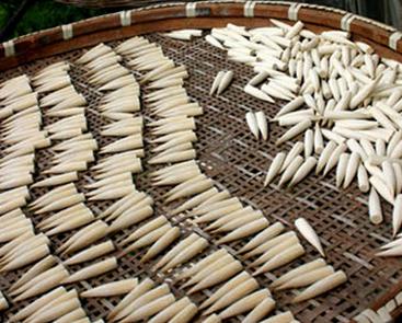 毛笔入门羊毫笔,羊毫毛笔字笔画入门教程