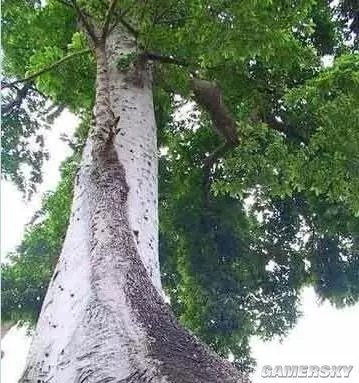 世界未解之谜6,世界未解之谜6个地方