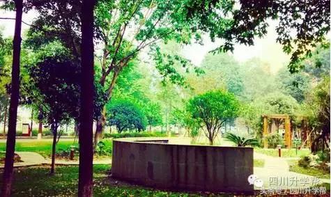 “德瑞系”三大名校——成外、实外、实外西区,究竟谁更牛?