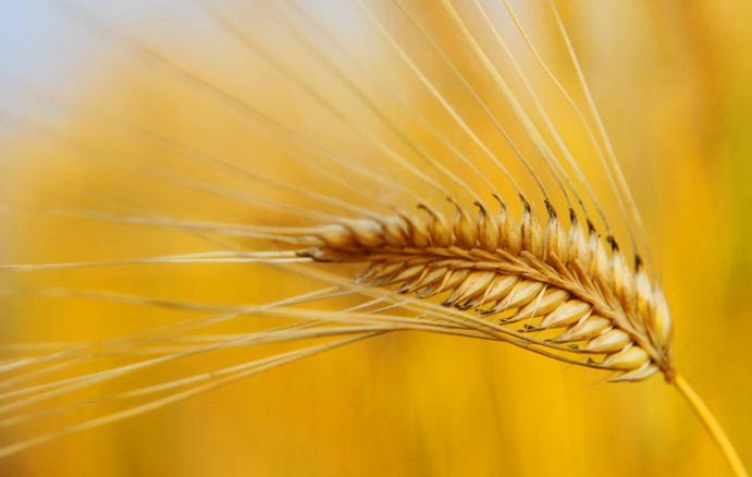 学投资必看入门书,每天必读的10个投资技巧