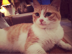 西安浪漫圣地,西安及周边情侣十大必去之地