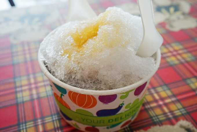 被人遗忘的海岛地图,被遗忘的岛究竟讲述了什么