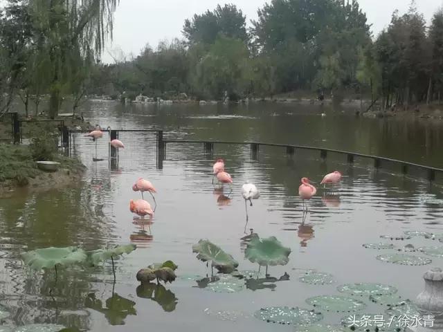 一条街一处景尽显烟火气,一条街古色古香