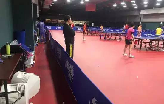 孙杨张继科商业价值,张继科和孙杨谁有钱