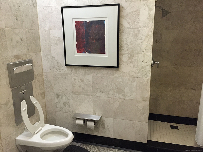 美联航头等舱：欧若拉女神眷顾之旅