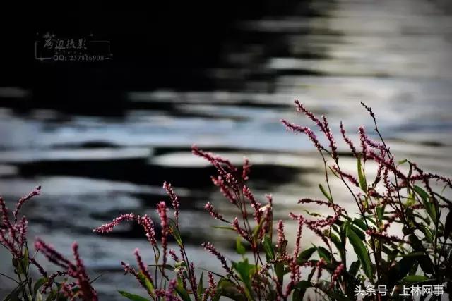 上林哪里有好玩的风景,上林风景最美的景区