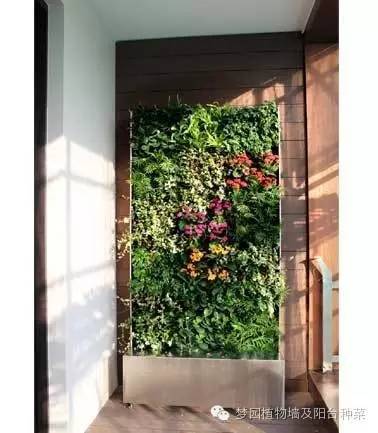 移动植物墙,墙体移动屏风