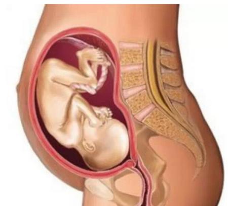 胎儿入盆了有哪些迹象,胎儿正在入盆的征兆