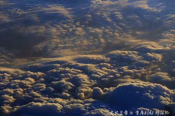 太平洋小小岛国帕劳貌似已被中国人全面占领