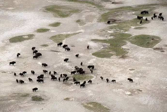 为什么这么多人要去加拿大,去加拿大最应该了解哪些事情