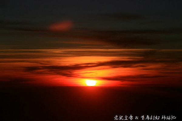 太平洋小小岛国帕劳貌似已被中国人全面占领