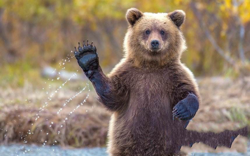 天冷了现在正是泡温泉的最佳时刻,天气逐渐变冷来泡澡