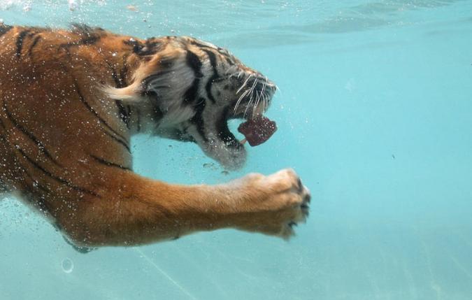 天气转冷的温泉,天气冷了泡温泉