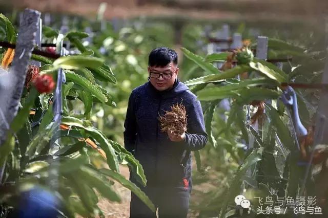 最好的旅游就是陪伴,一场美好的旅行是爱的陪伴