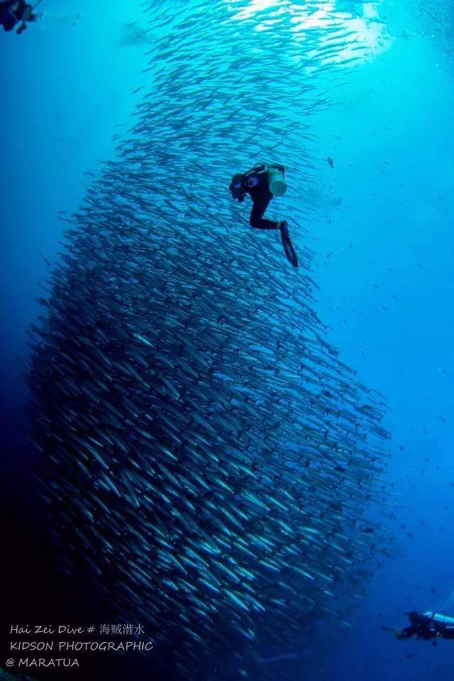 拥有这样的男朋友是一种什么感觉,和潜水员谈恋爱感受