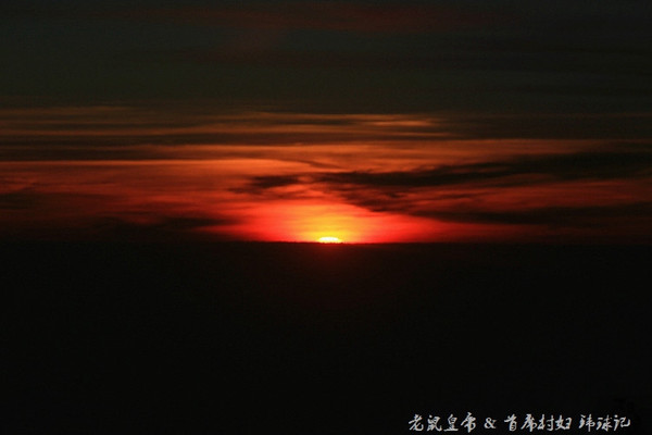 太平洋小小岛国帕劳貌似已被中国人全面占领